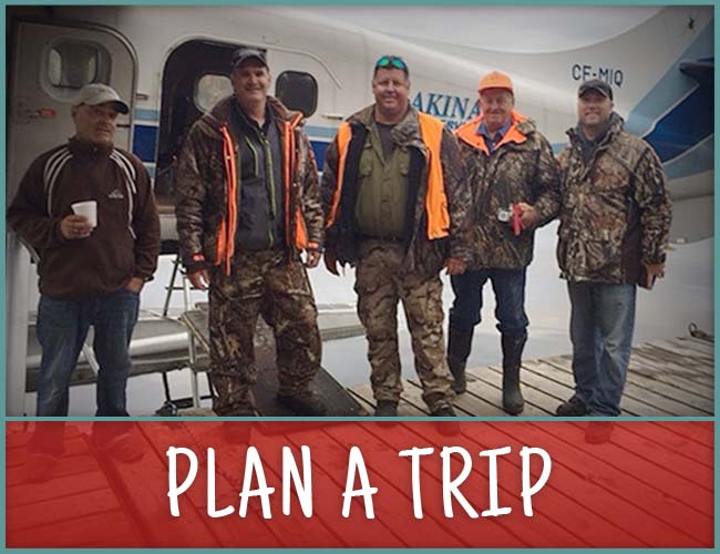 Plan a Trip with 7 Lakes Wilderness Camps