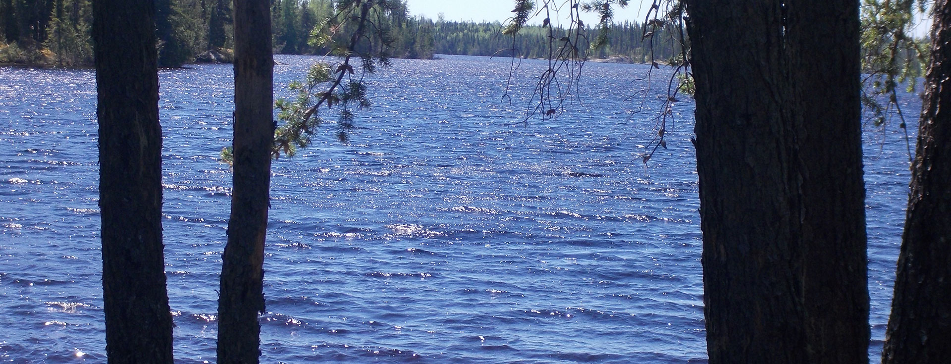 Ontario Perch Fishing