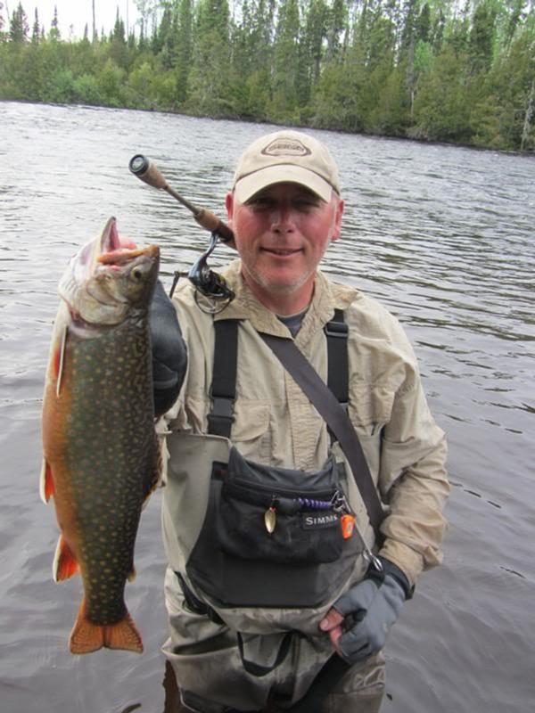 brook trout lures