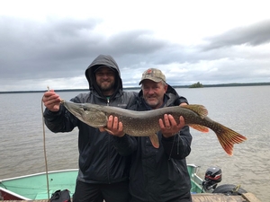 20# + Pike caught on Marshall lake by Dave Woodke, last week of August. 