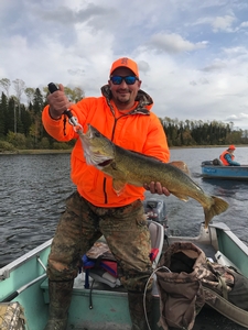 Mark Keough- Teabeau lake (Albany river) September 2019. 12 lbs. 31 inches.