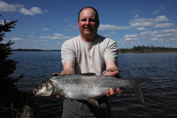 Nakina, Ontario Whitefish Fishing